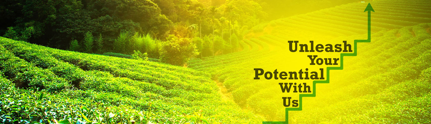isphani-Career_Banner