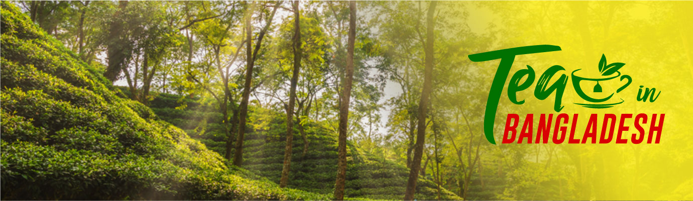 isphani-tea